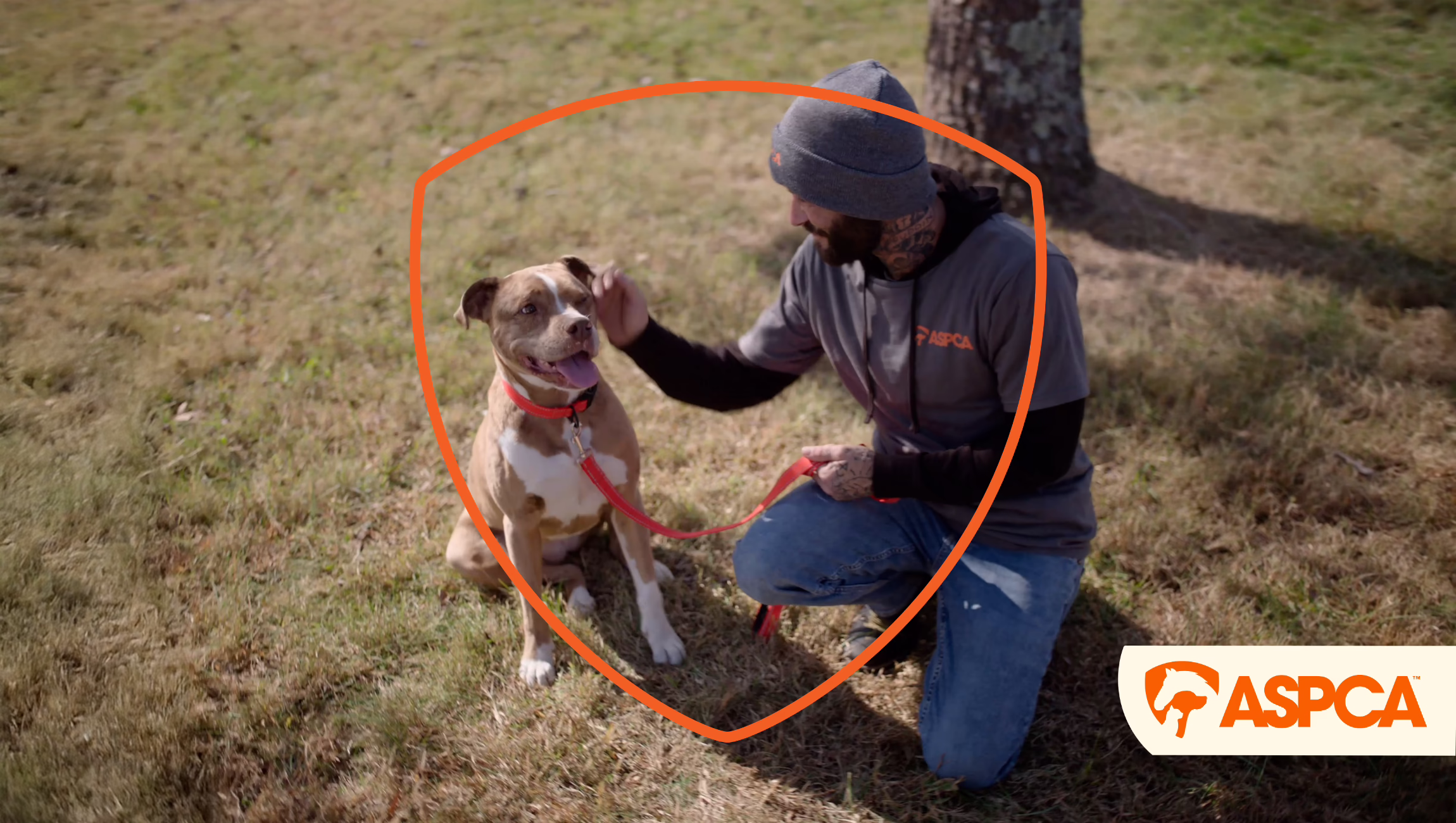 We Go There For Animals: ASPCA – TV