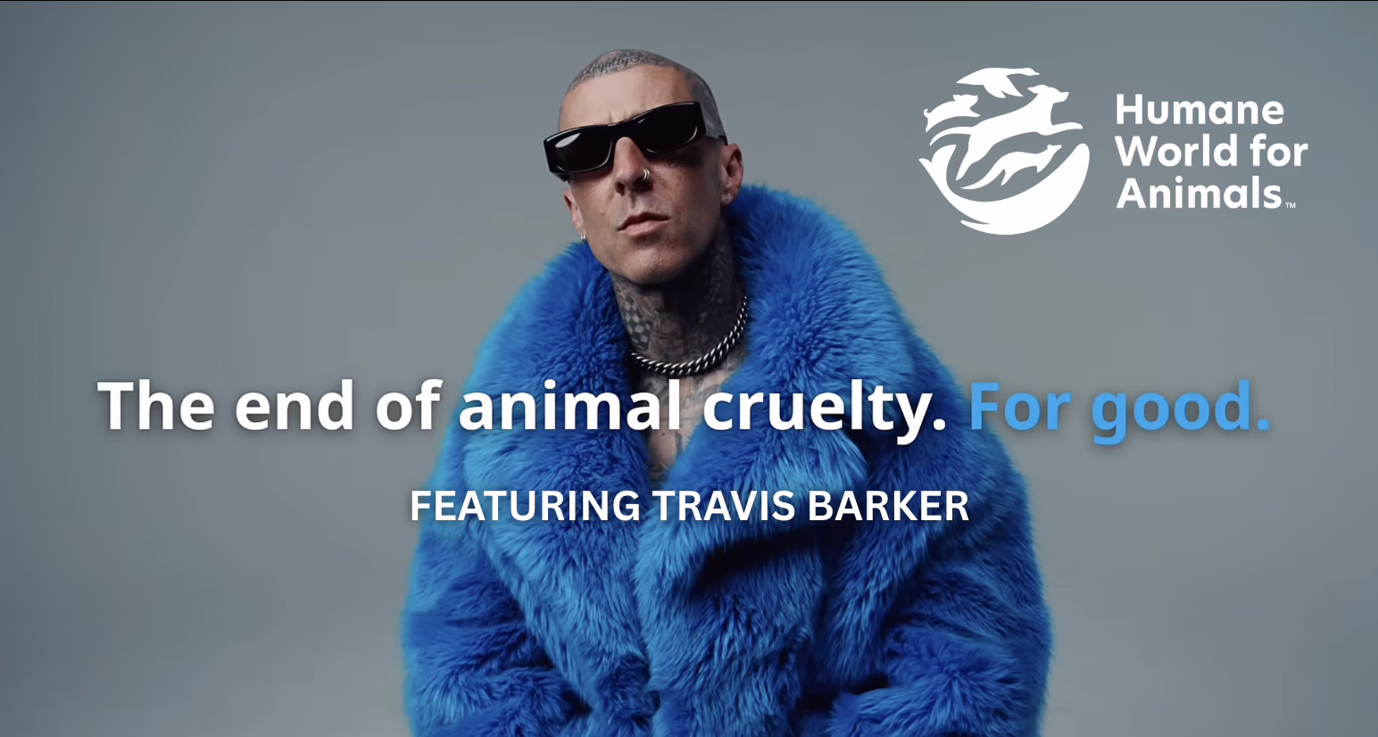 Just Do Good: Humane World for Animals – TV